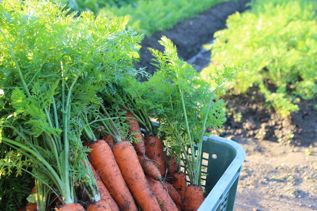 じょーじ農園のサブ画像