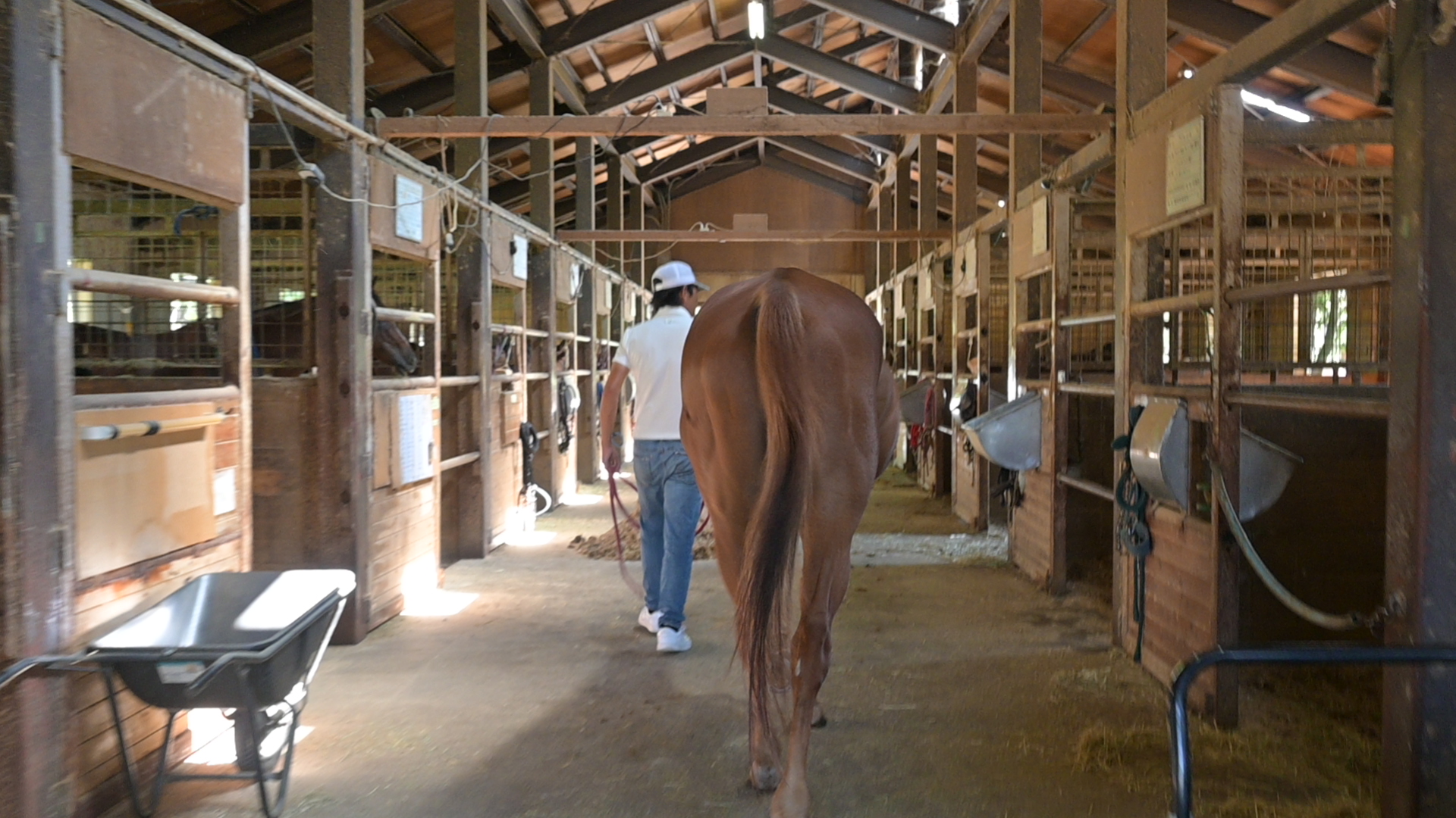 愛知牧場乗馬クラブのサブ画像