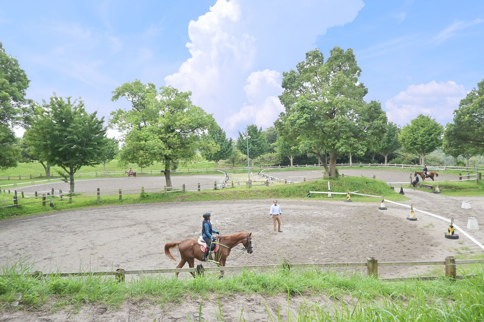 セントレアホースの画像