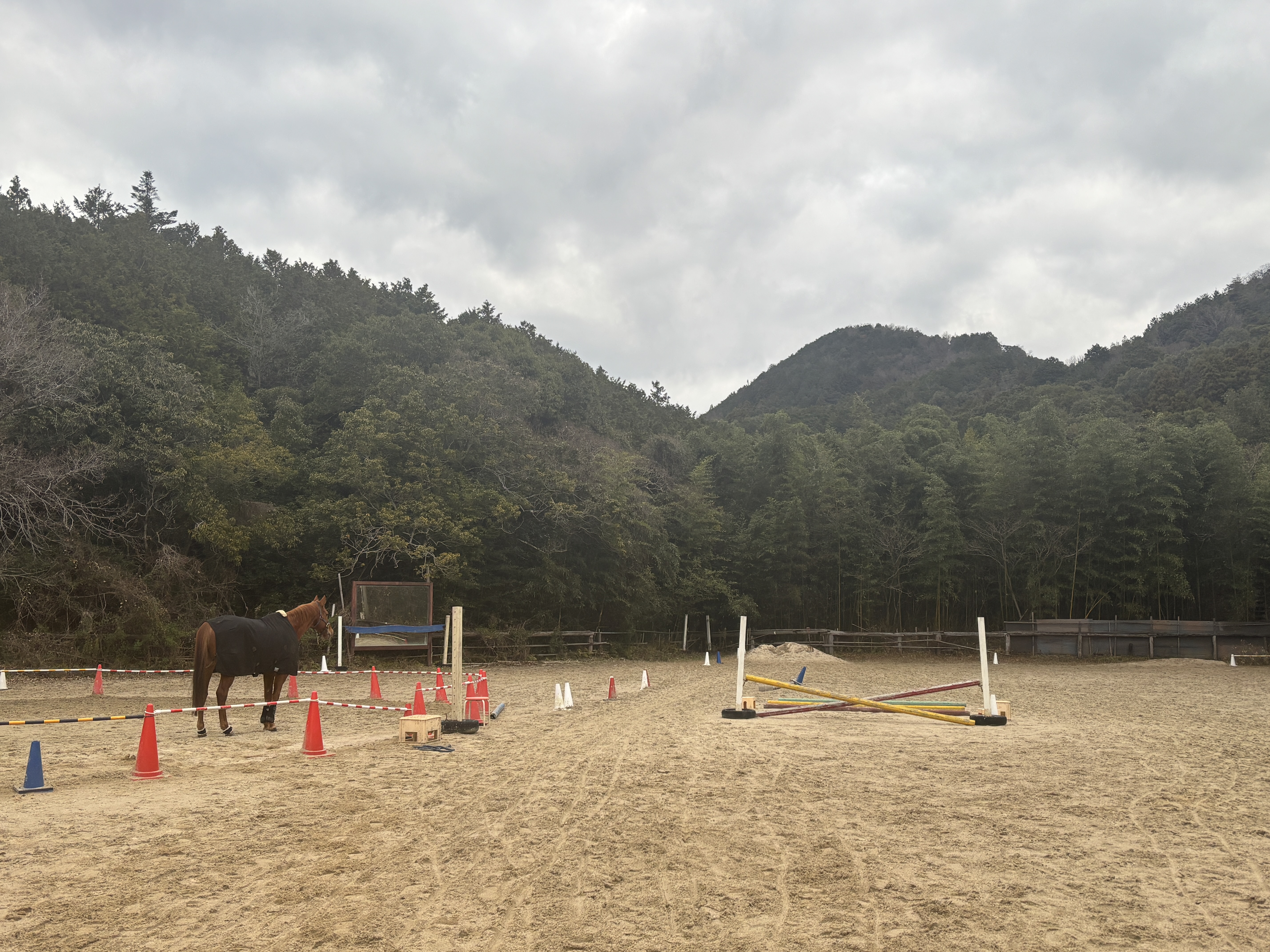 山口大学の画像