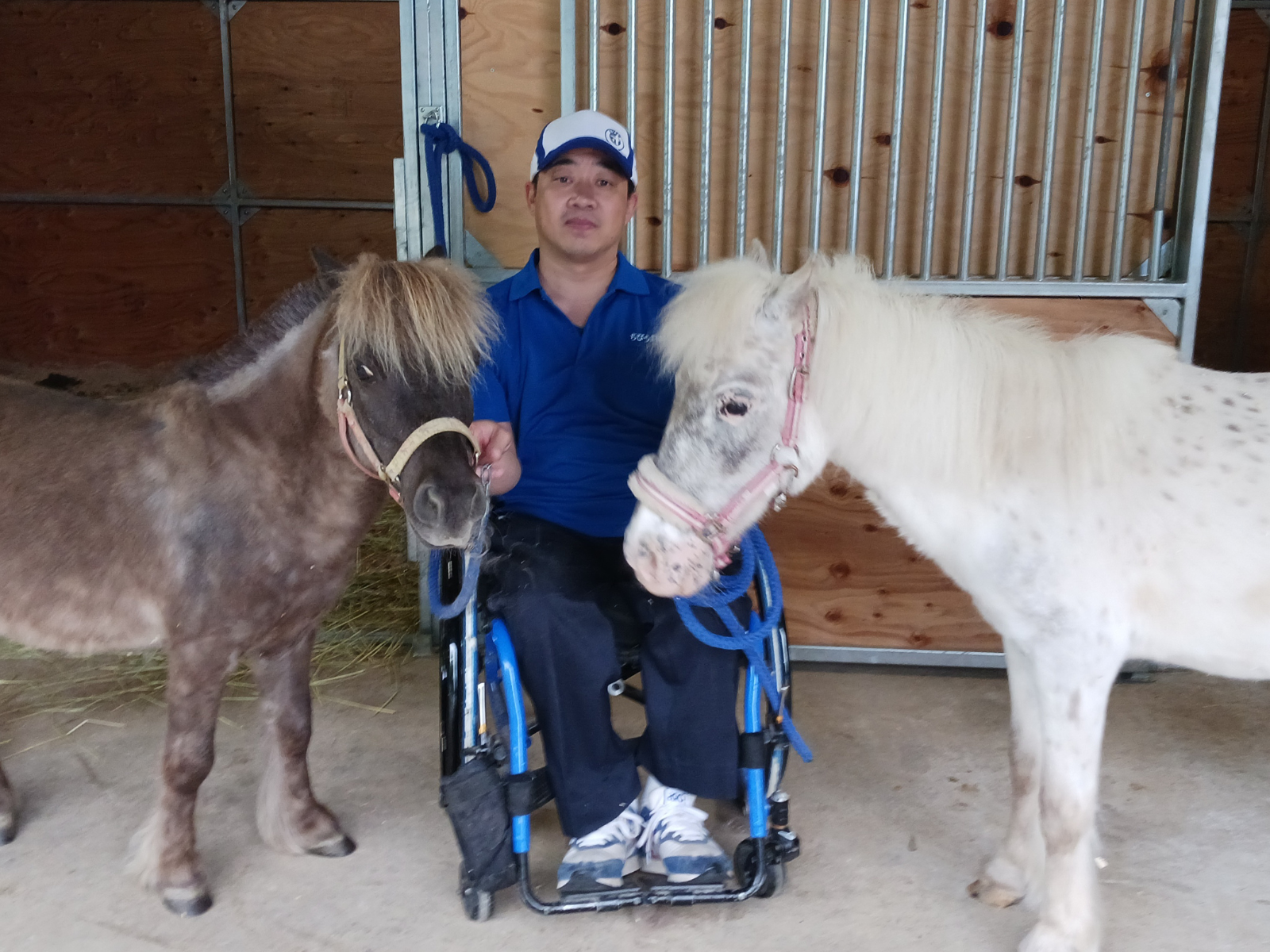 株式会社ちびうま団の画像