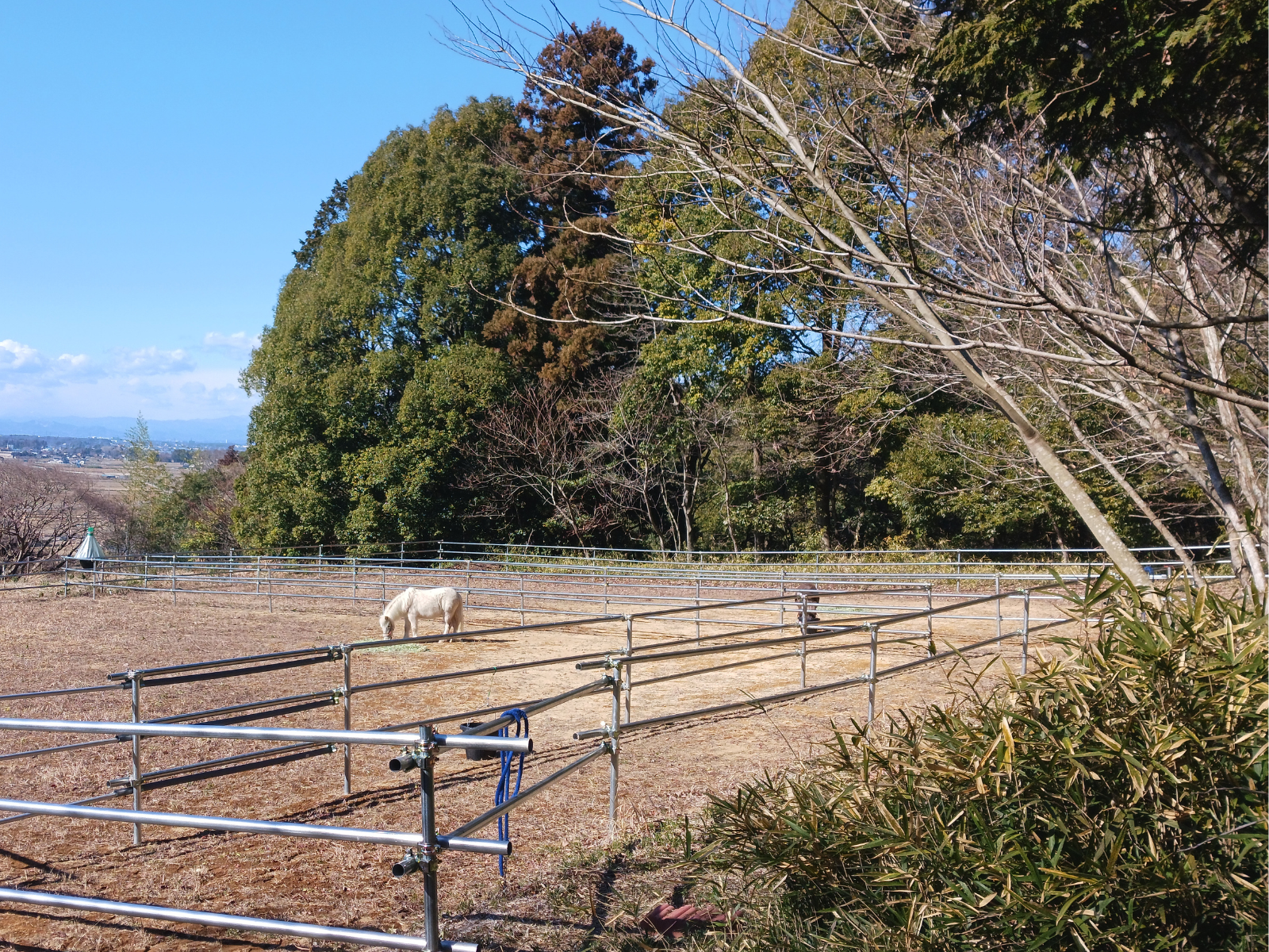 株式会社ちびうま団のサブ画像
