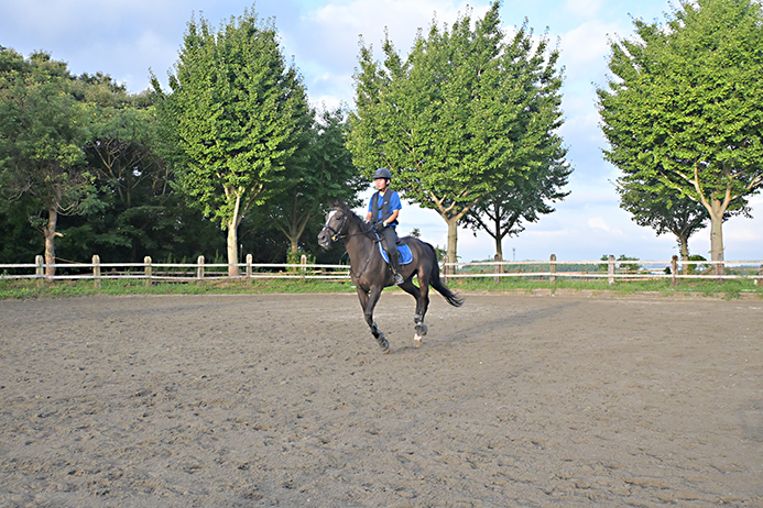 テーオーゼウスのサブ画像