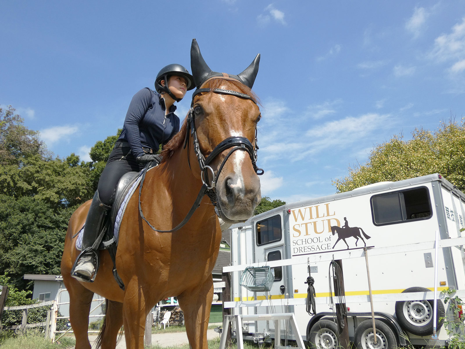 サンライズモストロのサブ画像
