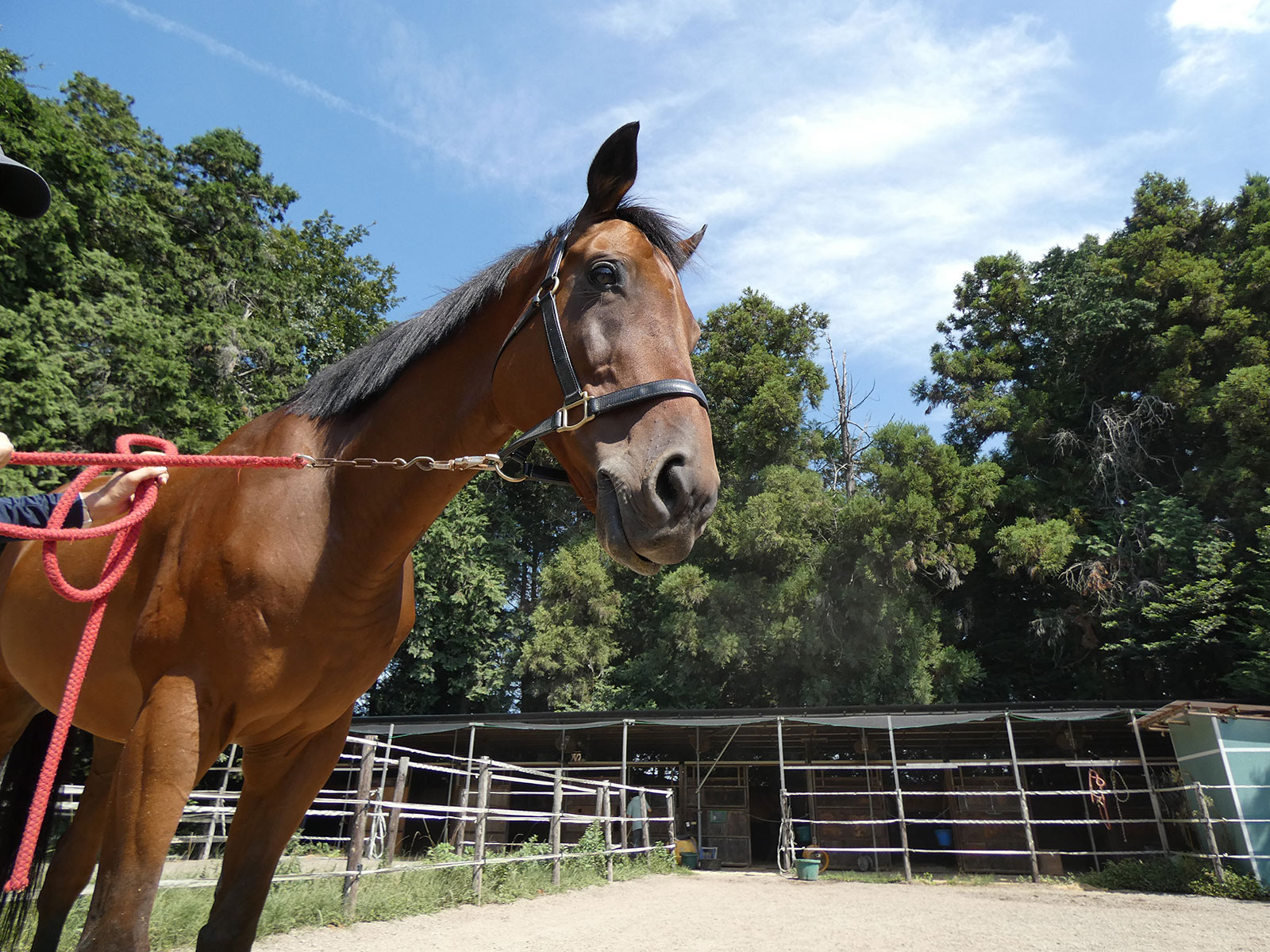 メートルダールのサブ画像