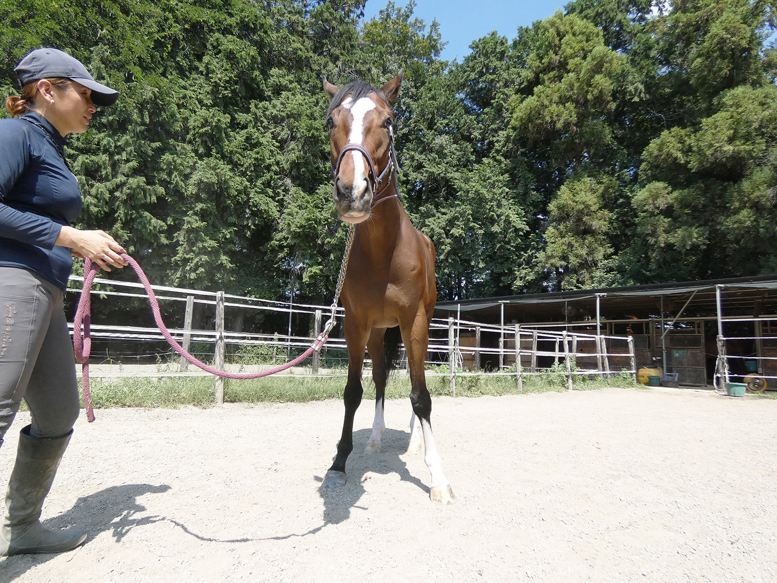 レッドスフェーンのサブ画像