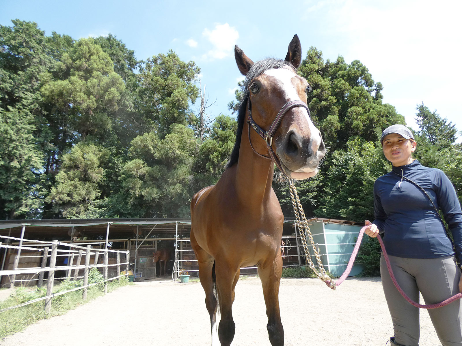 レッドスフェーンのサブ画像