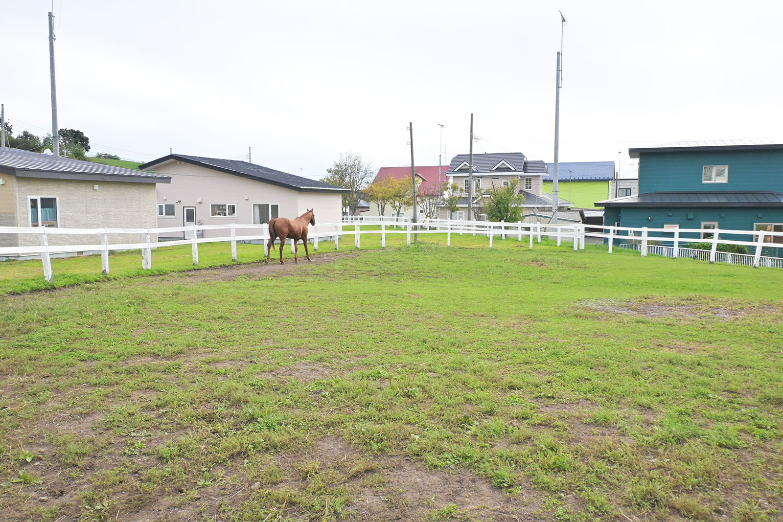 ヒガシウィルウィンのサブ画像