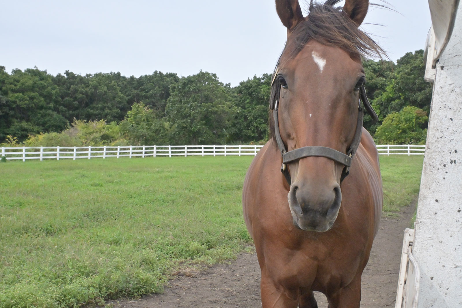 モンブランテソーロのサブ画像