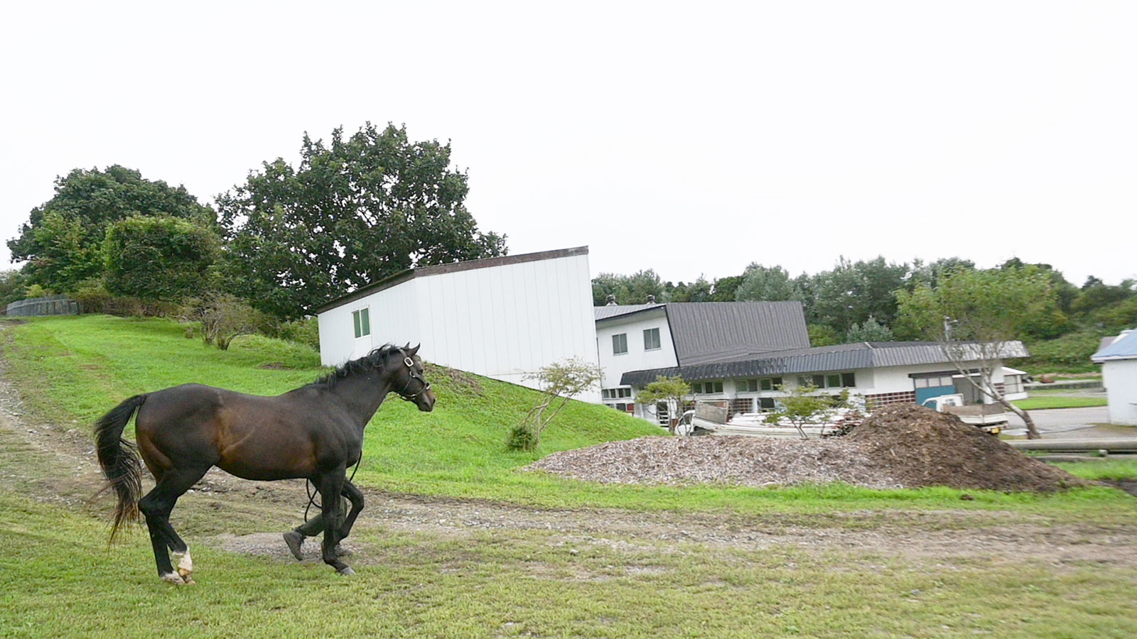 バンドワゴンのサブ画像
