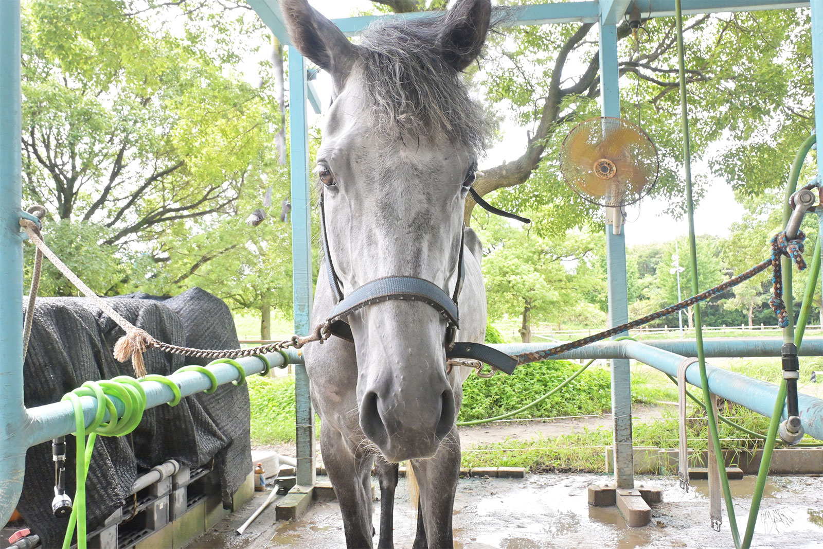 グランレミーのサブ画像