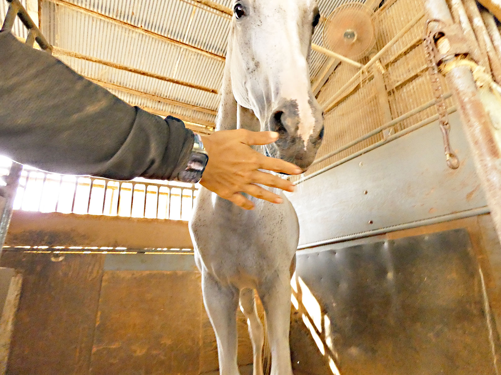 エイシンピーシーのサブ画像