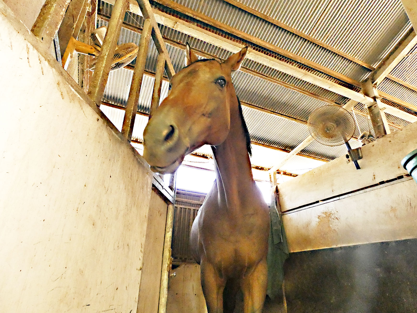 テラザインパクトのサブ画像