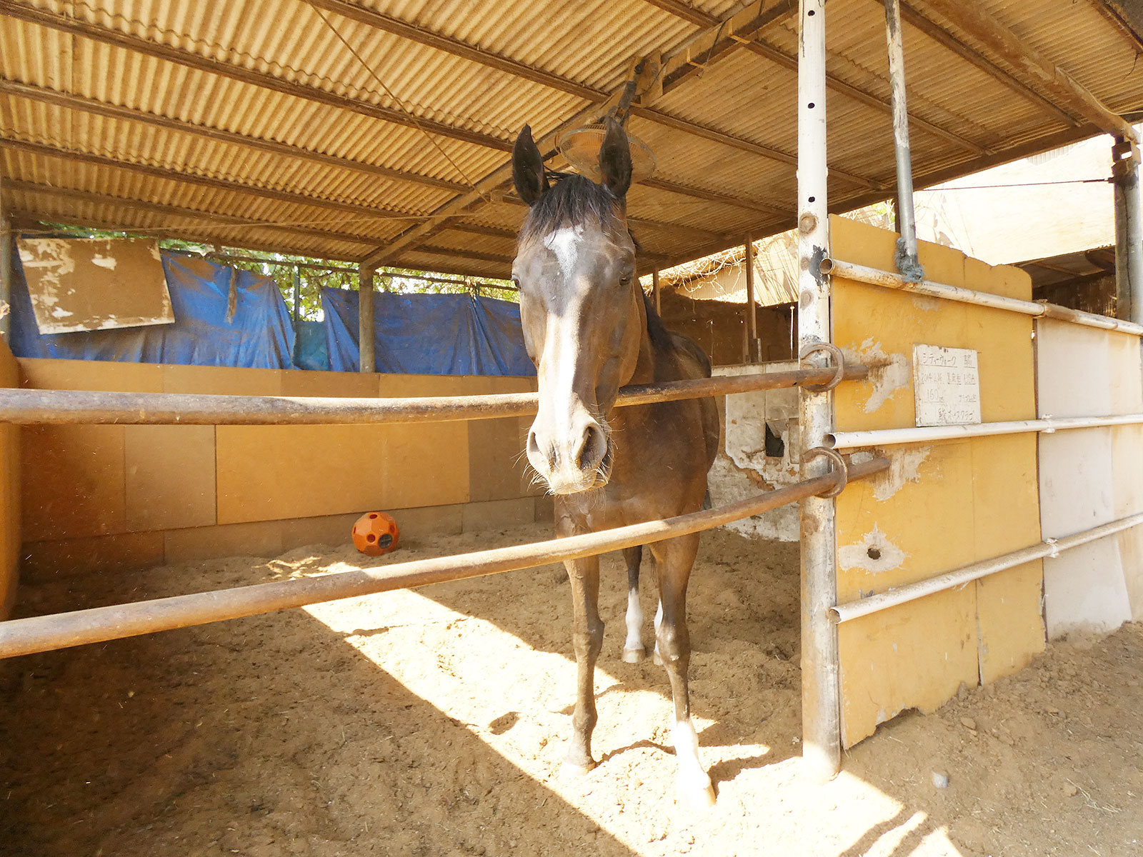 シティウォークのサブ画像