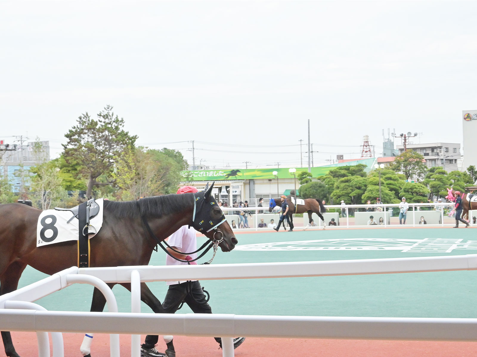 パイナのサブ画像