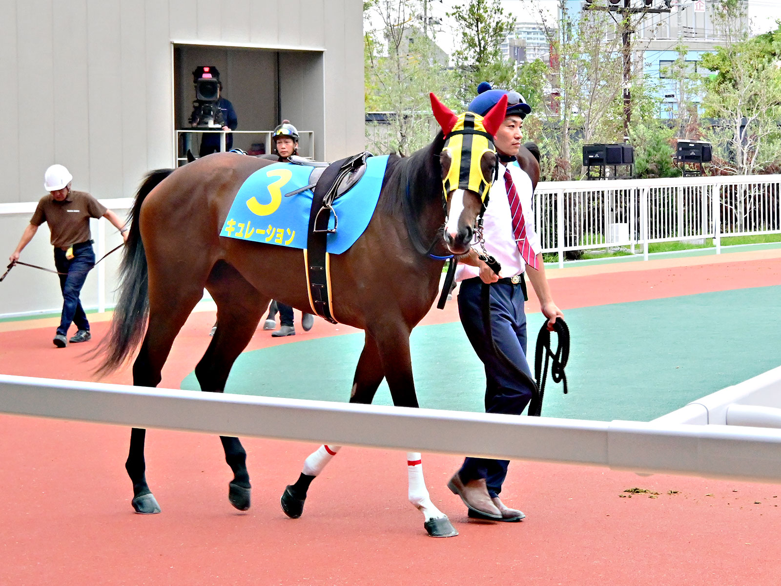 キュレーションの画像