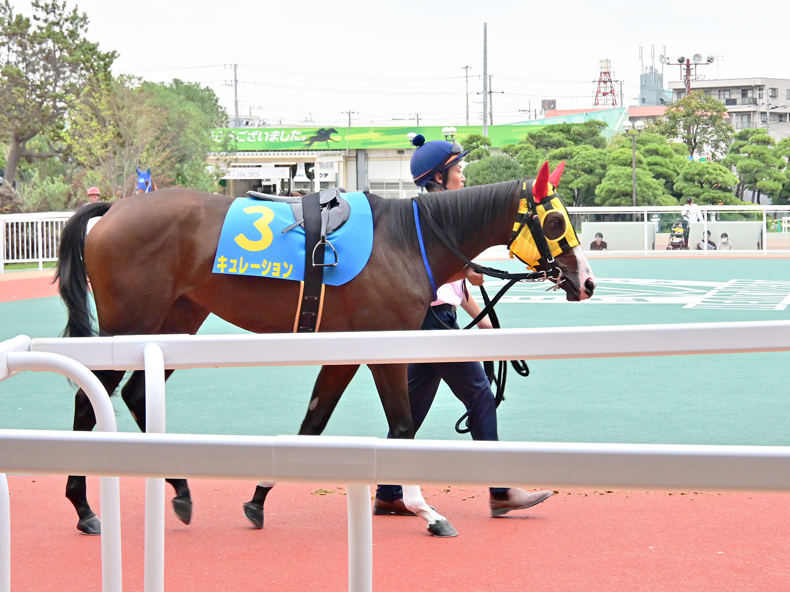 キュレーションのサブ画像