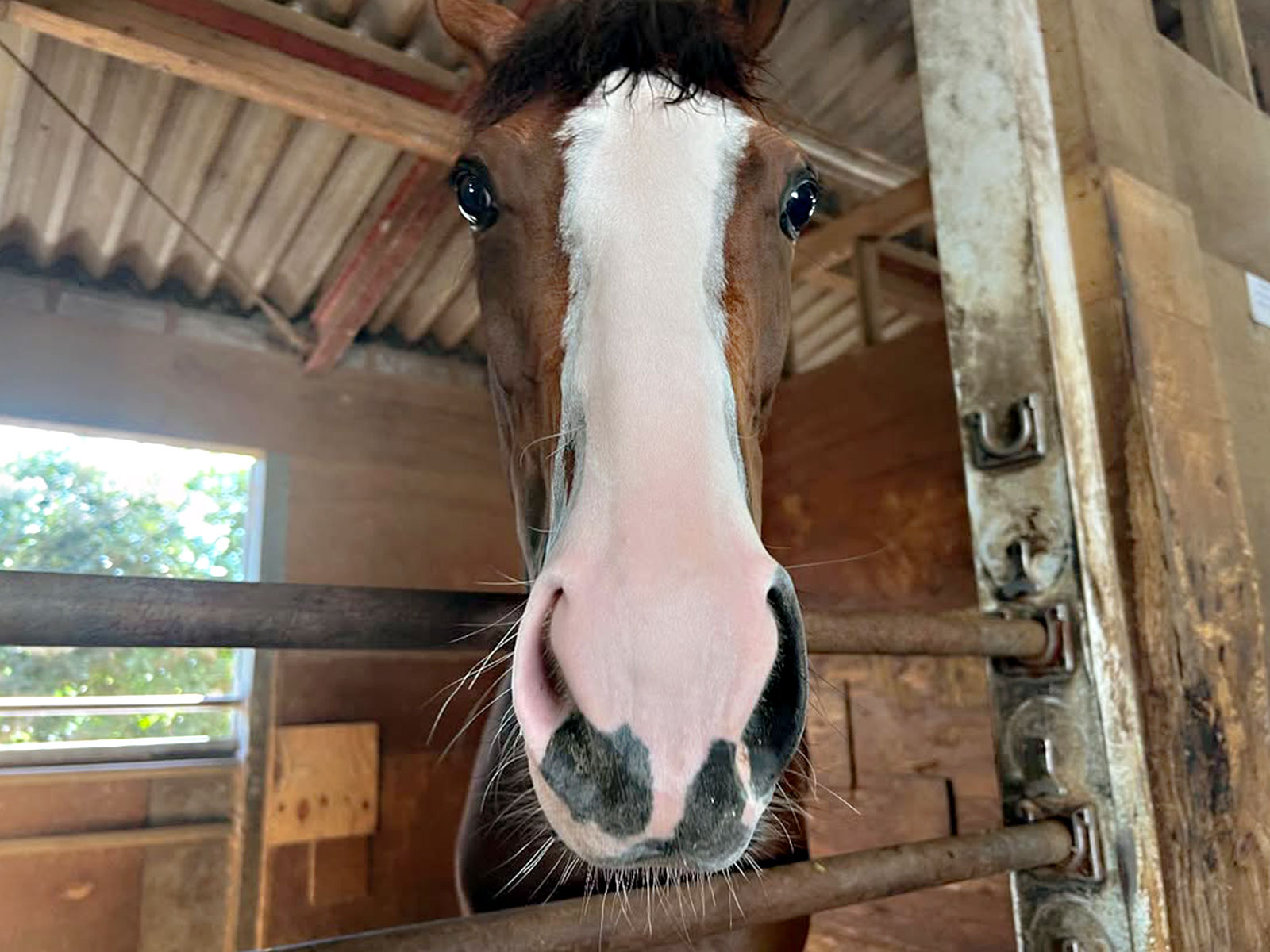 セレニティのサブ画像