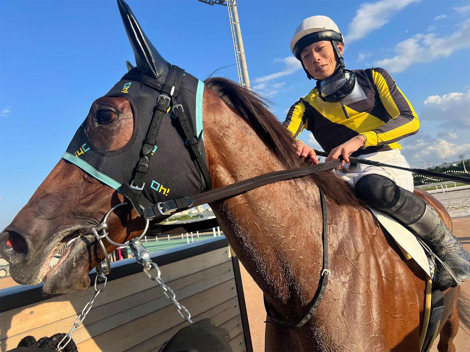 ゼンソレイユのサブ画像