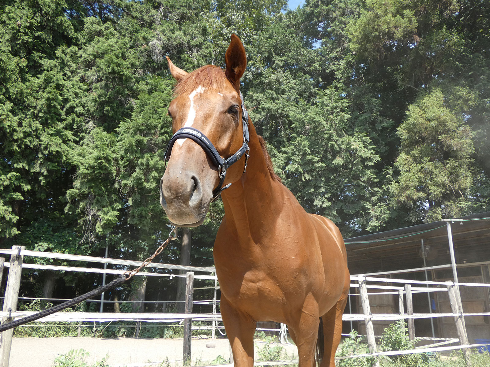 リベイラパレスのサブ画像