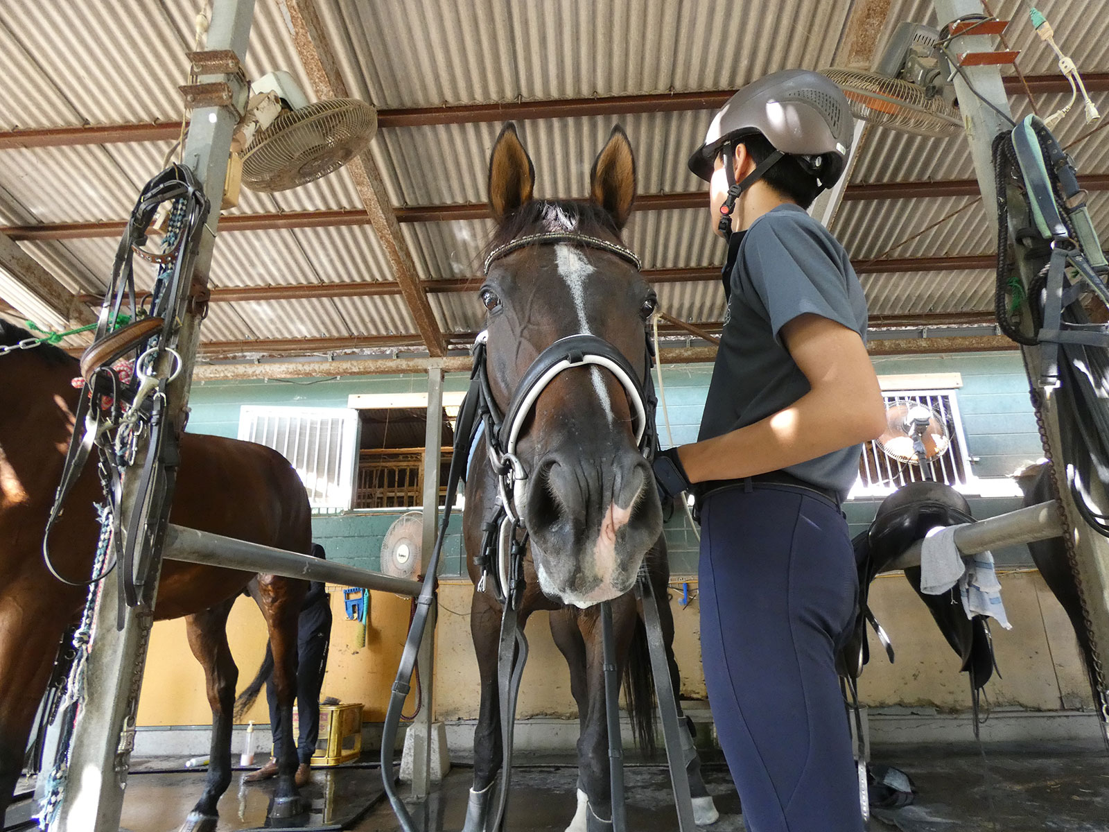 バイキングクラップのサブ画像