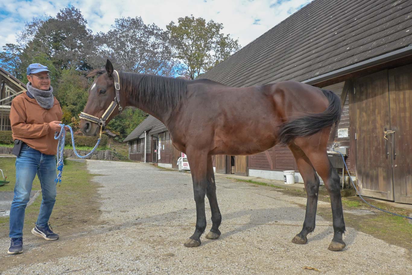ダディーズマインドのサブ画像