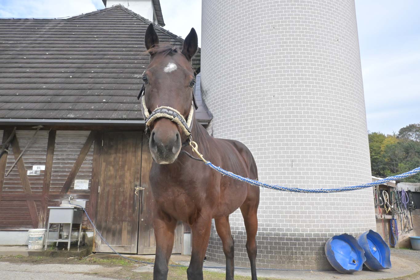 ダディーズマインドのサブ画像