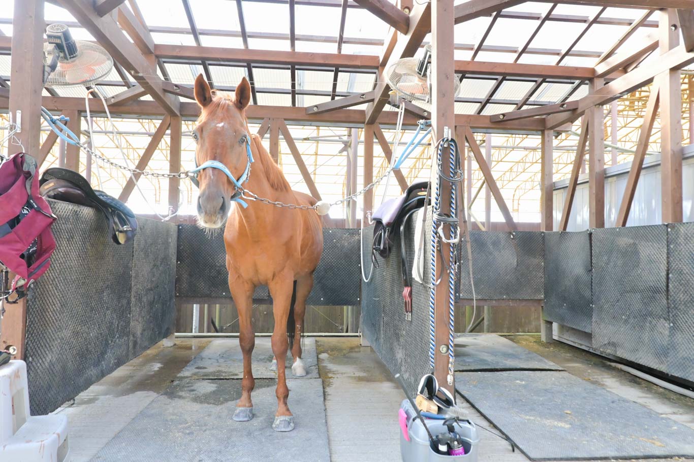 ワンダーアシャードのサブ画像