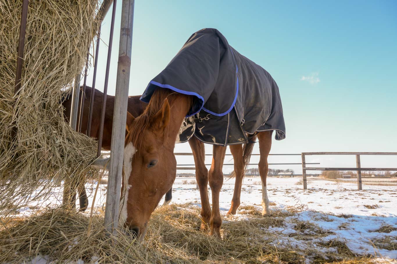サンビュートのサブ画像