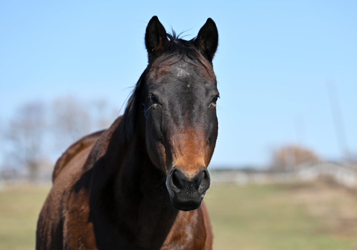 アウトオブタイム