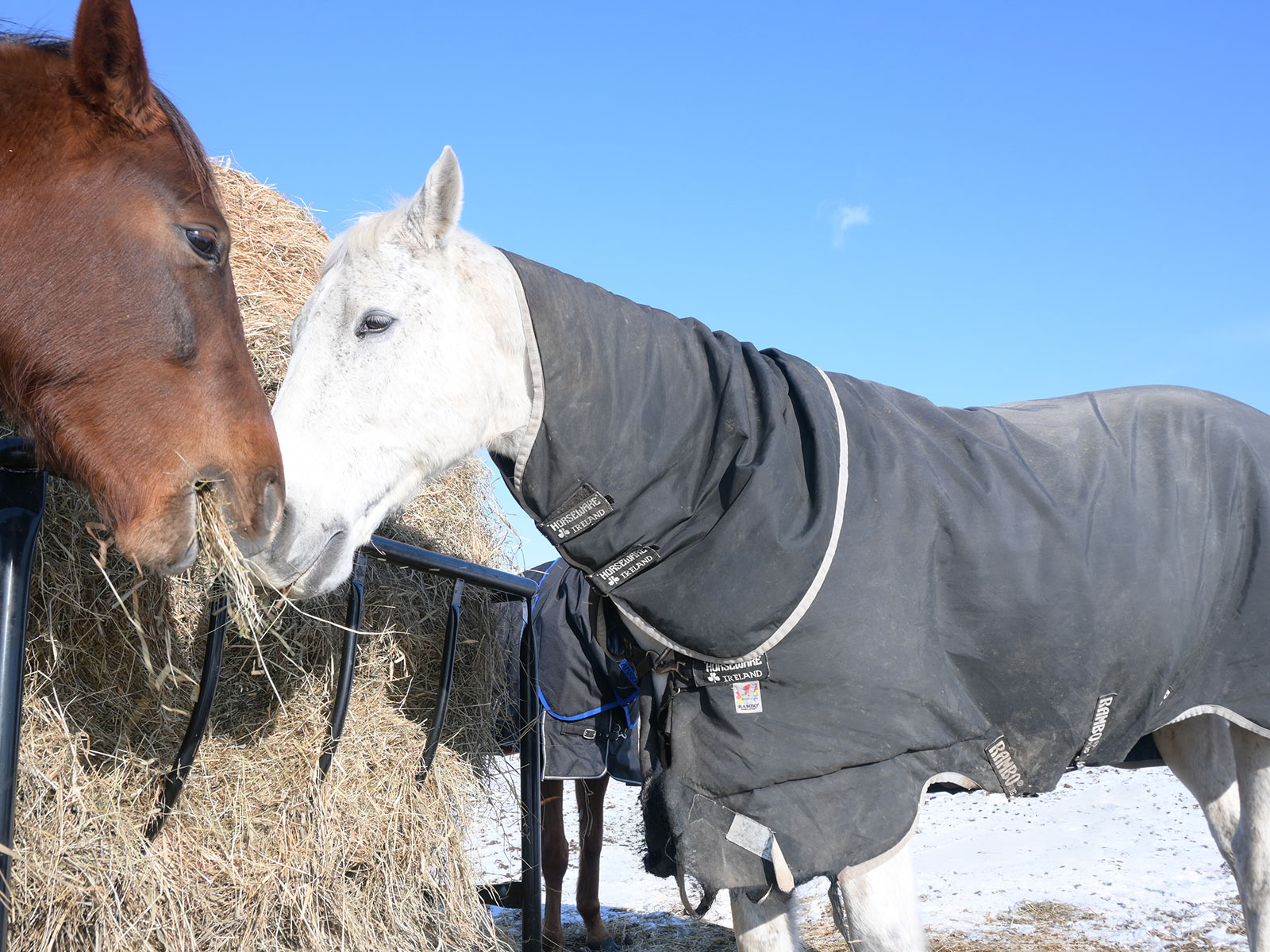 サーモピレーのサブ画像