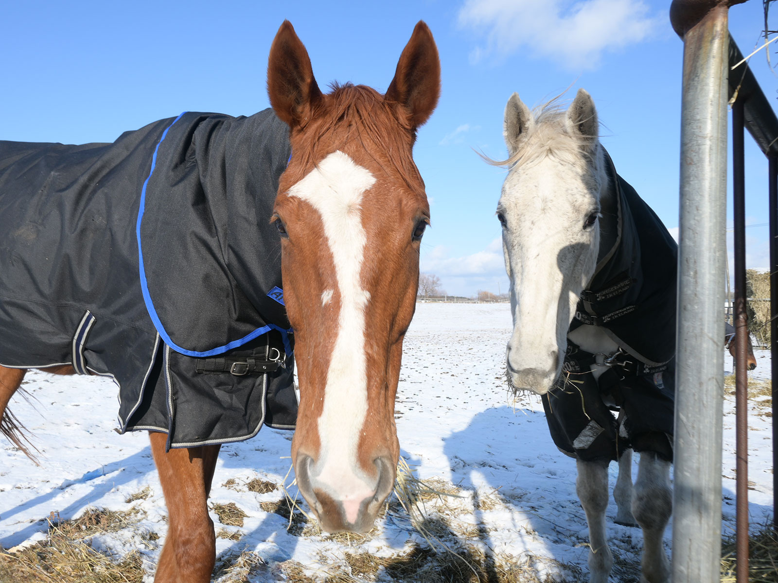 サンビュートのサブ画像