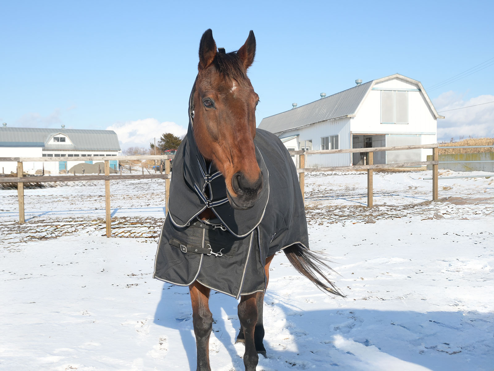 サンツェッペリンのサブ画像