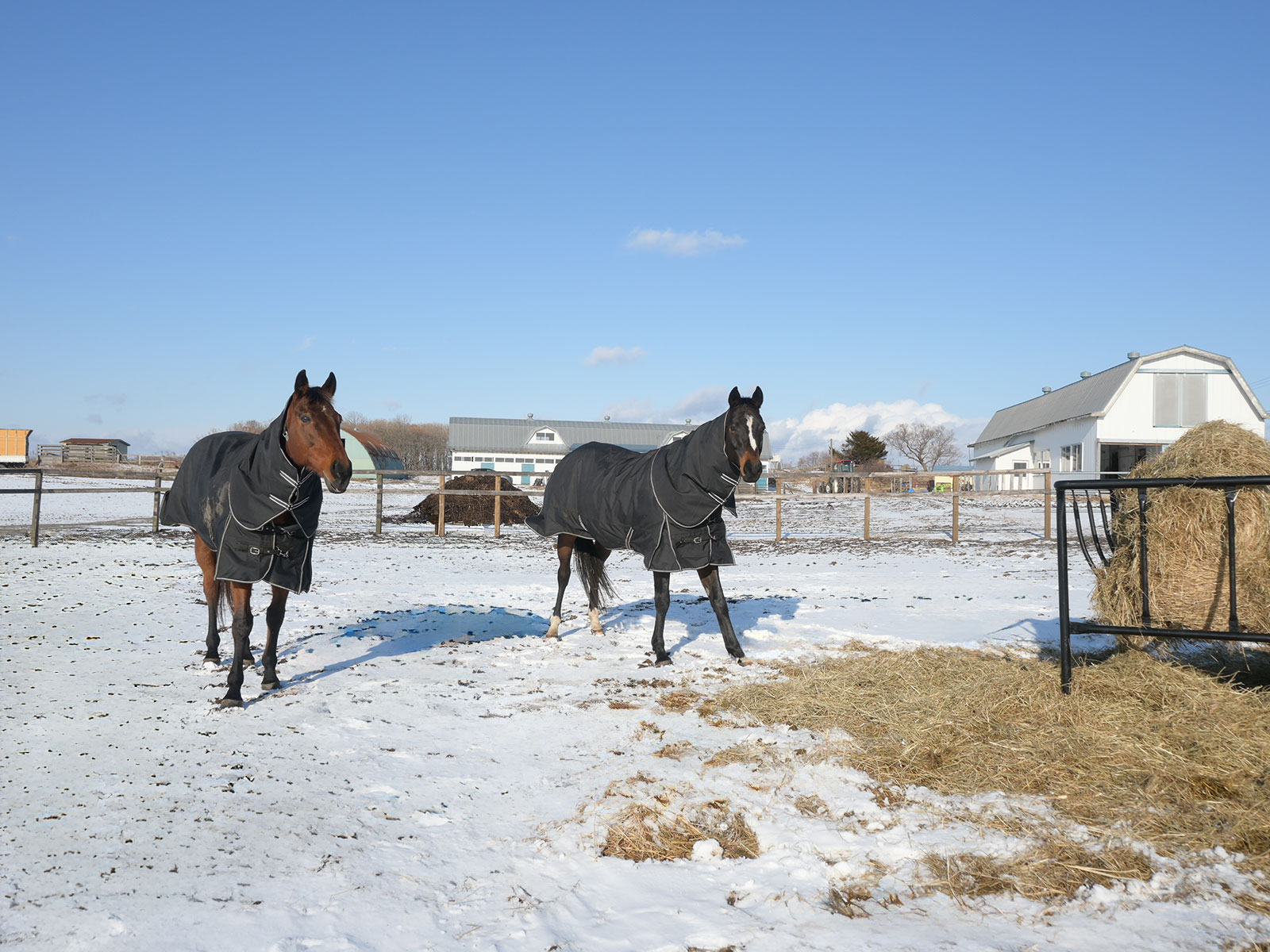 サンアップルトンのサブ画像