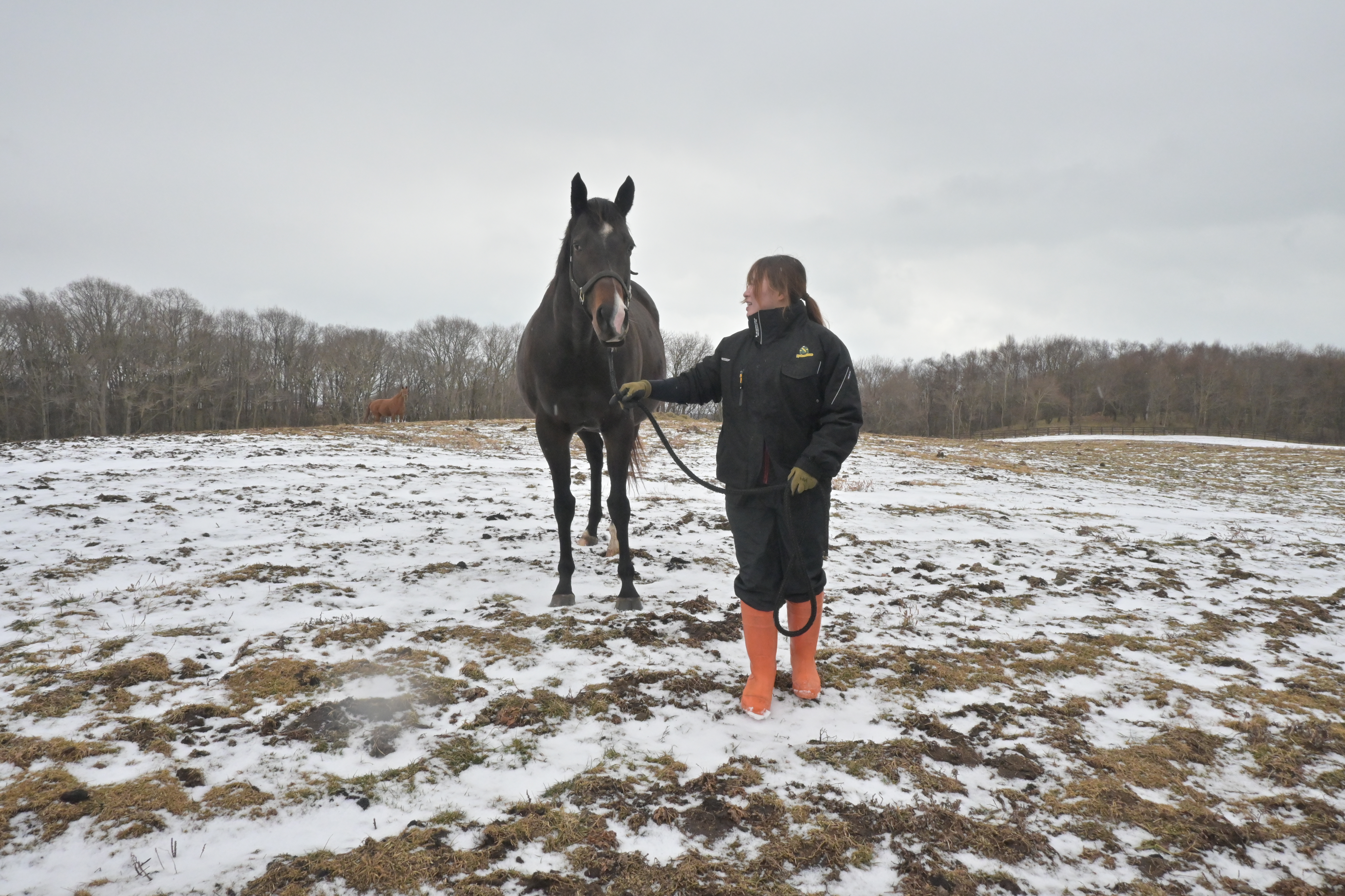 デトロイトテソーロのサブ画像