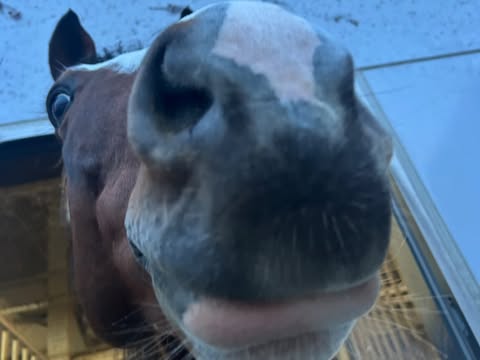 京砦のサブ画像