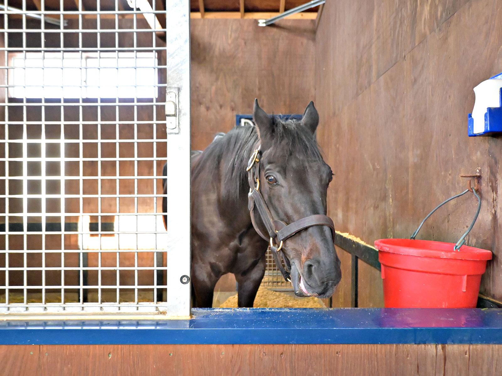 サングレーザーのサブ画像
