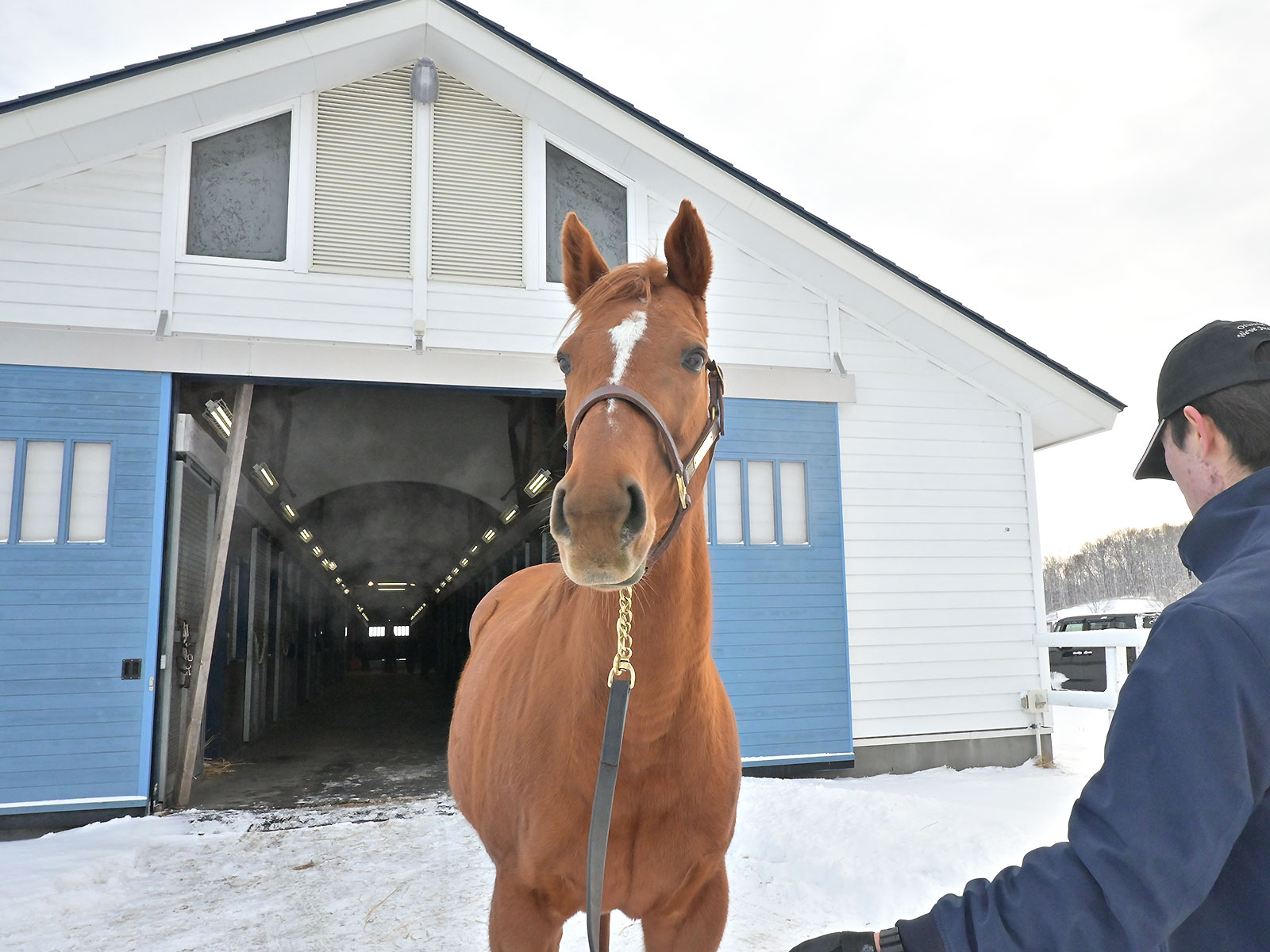 フォーエバーモア
