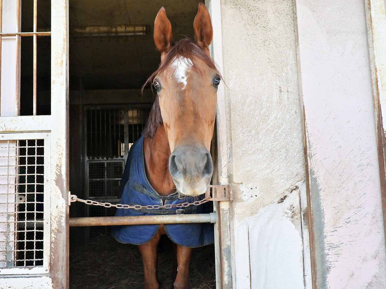 グランテミスのサブ画像
