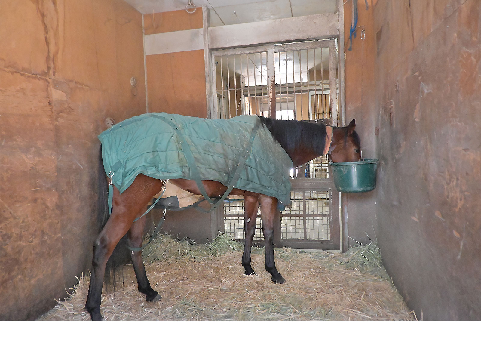 グランロゼのサブ画像