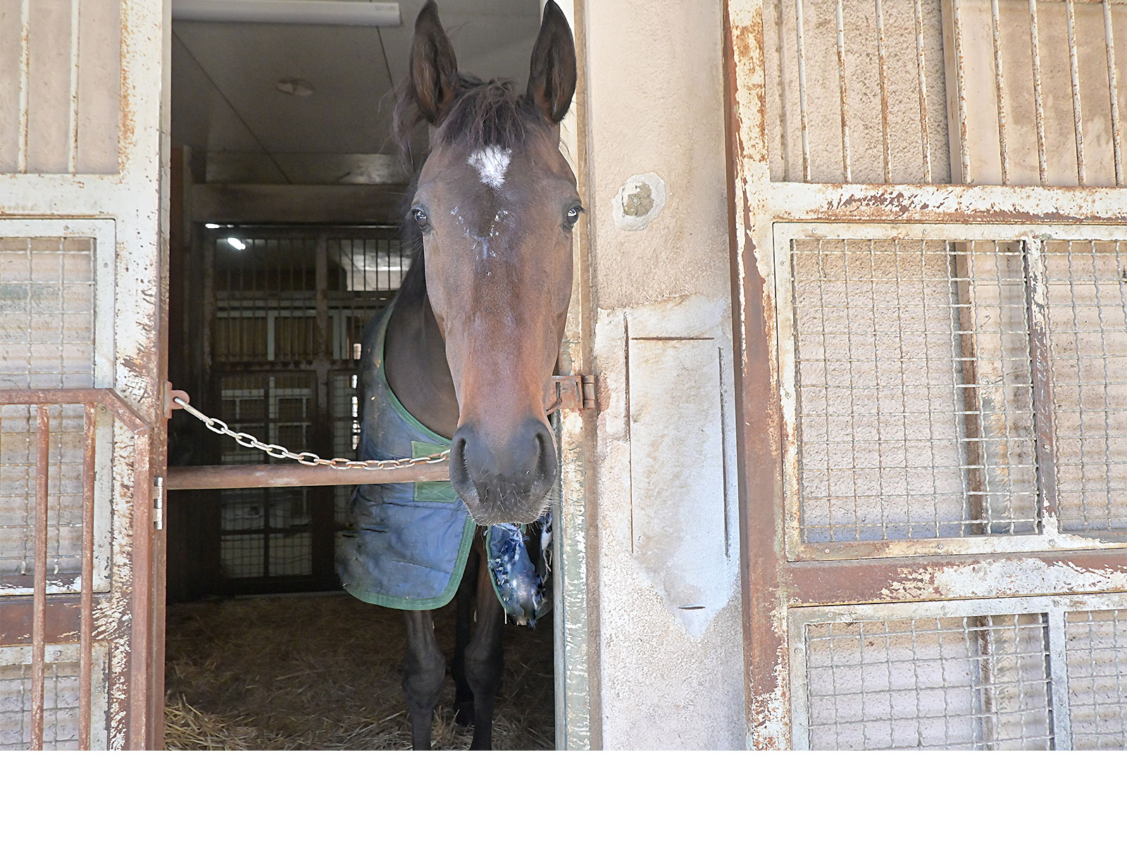 ミュトスオードのサブ画像