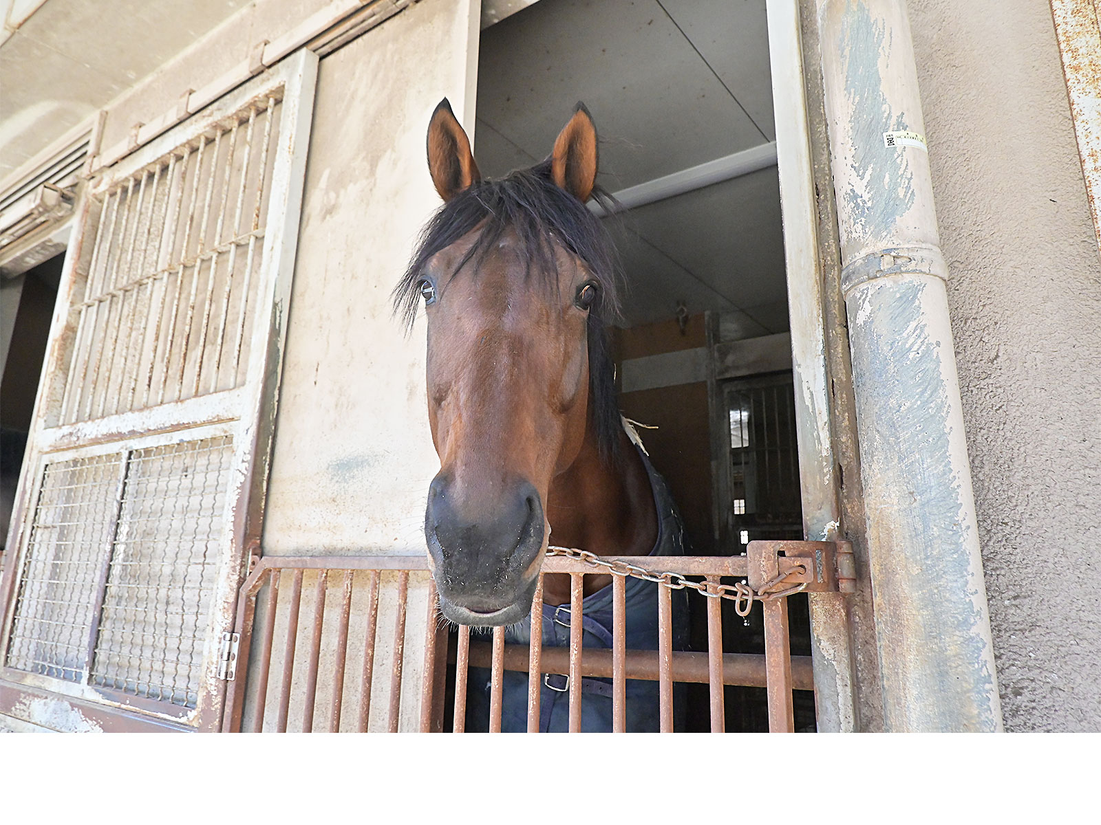 アークリオーソのサブ画像