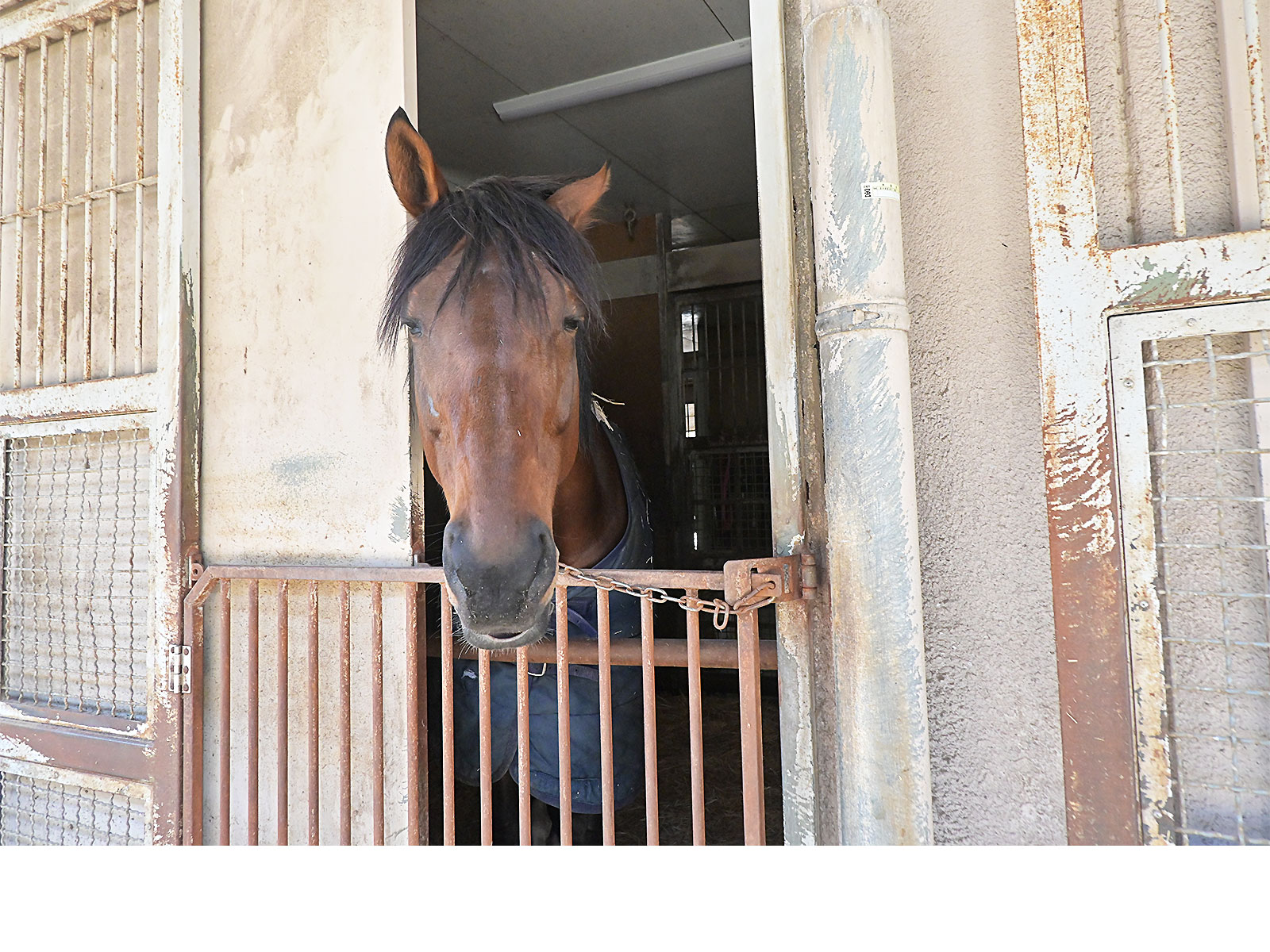 アークリオーソのサブ画像