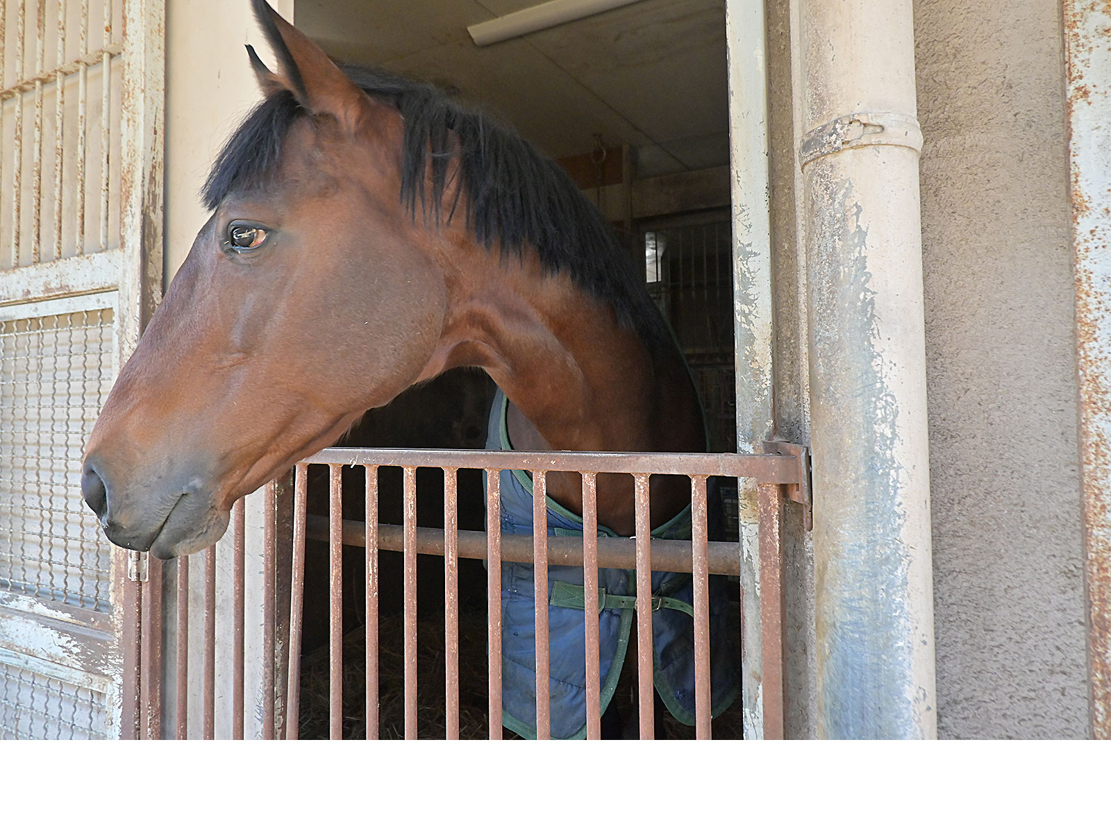 アポロファントムのサブ画像