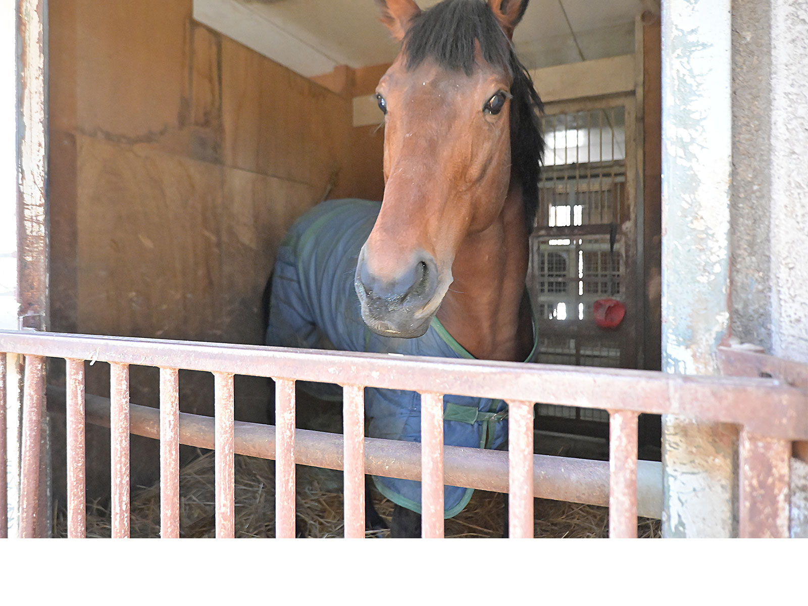 アポロファントムのサブ画像