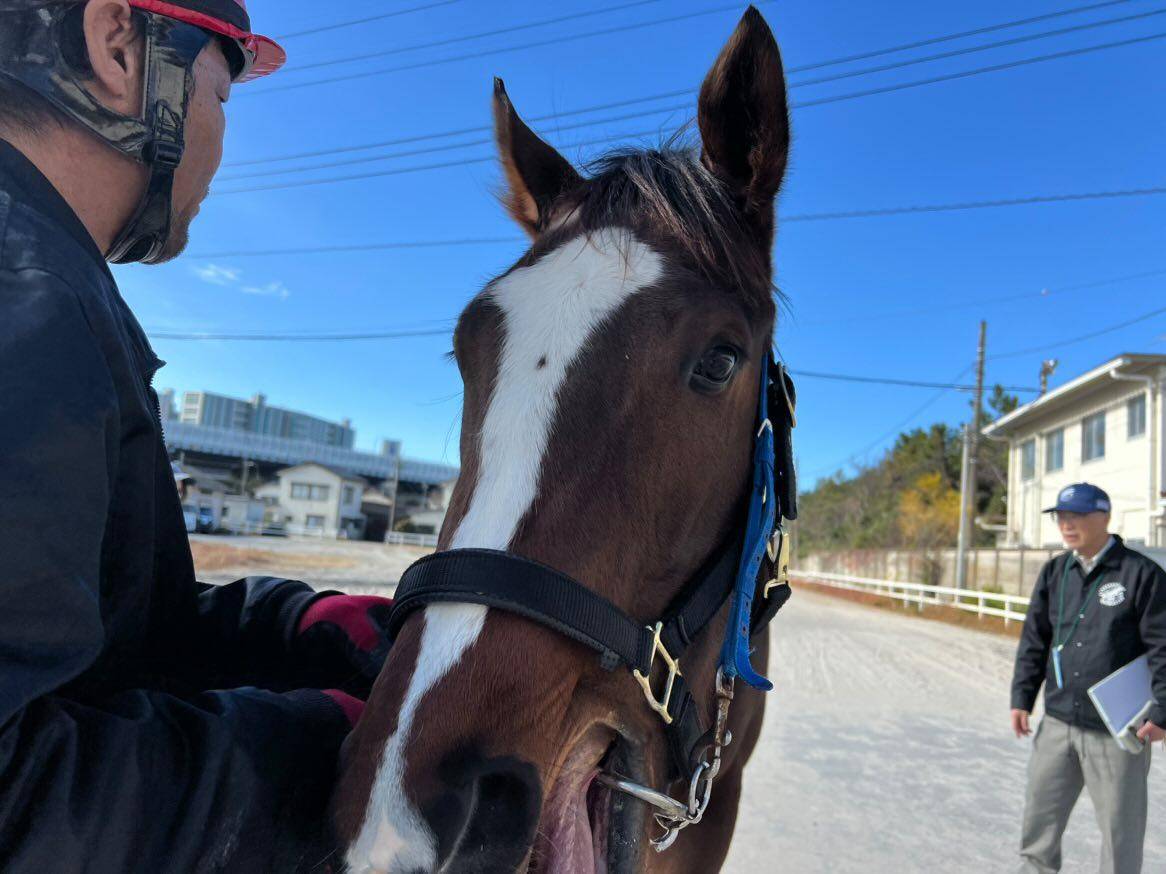 トラペジウムのサブ画像