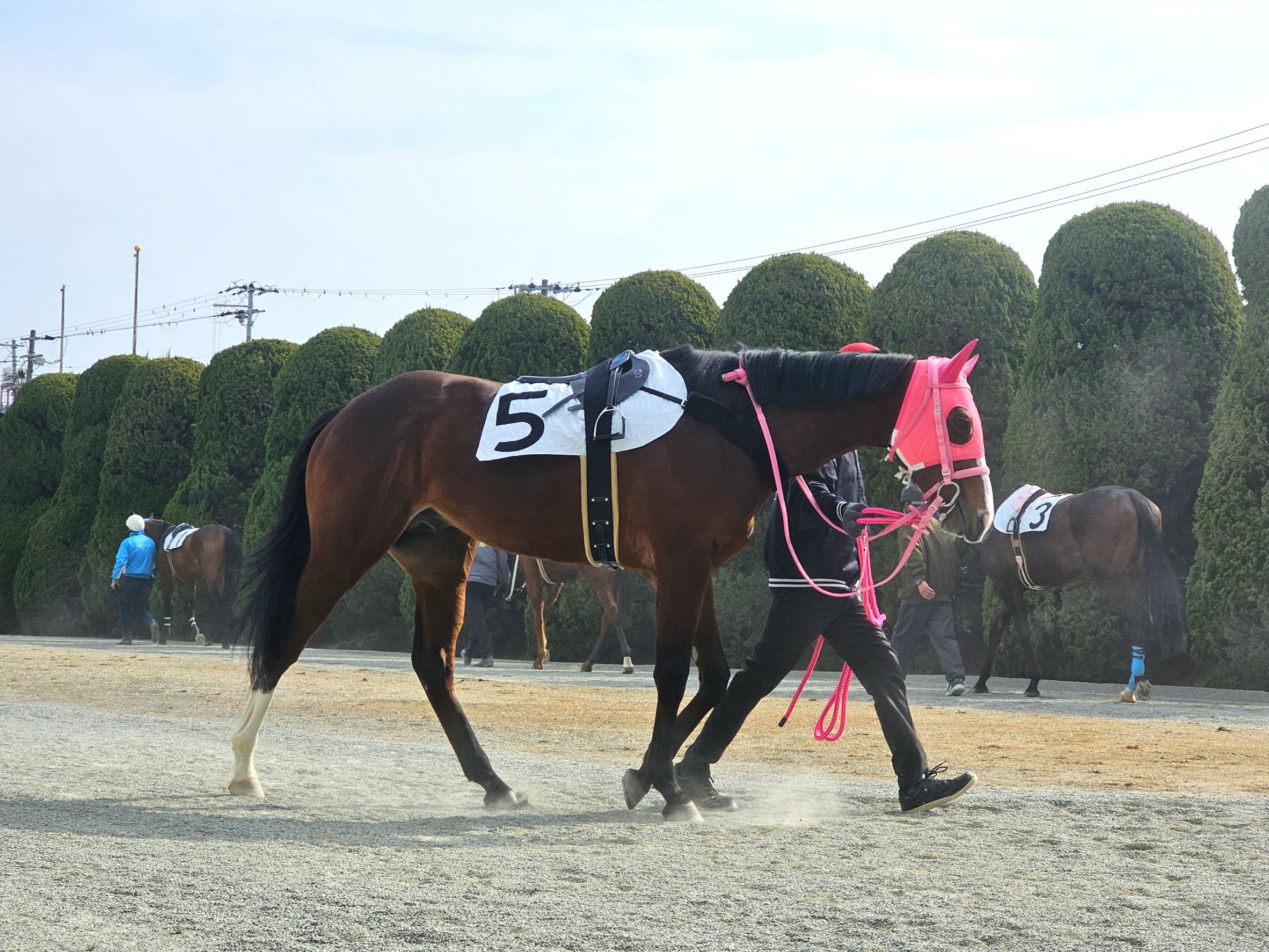 メフィストの画像