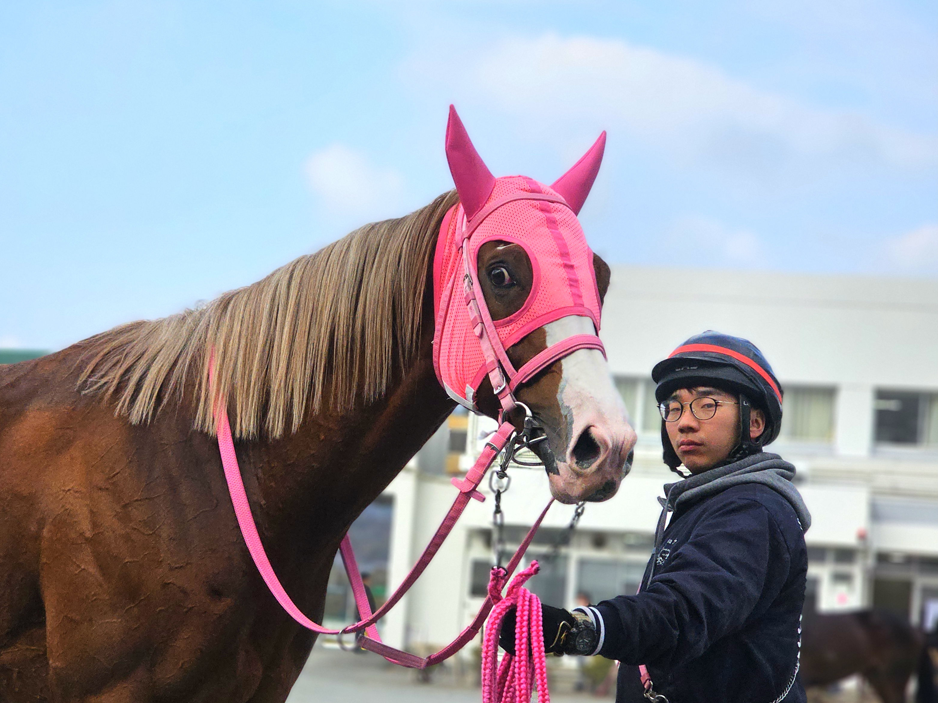 モノノフノミチのサブ画像