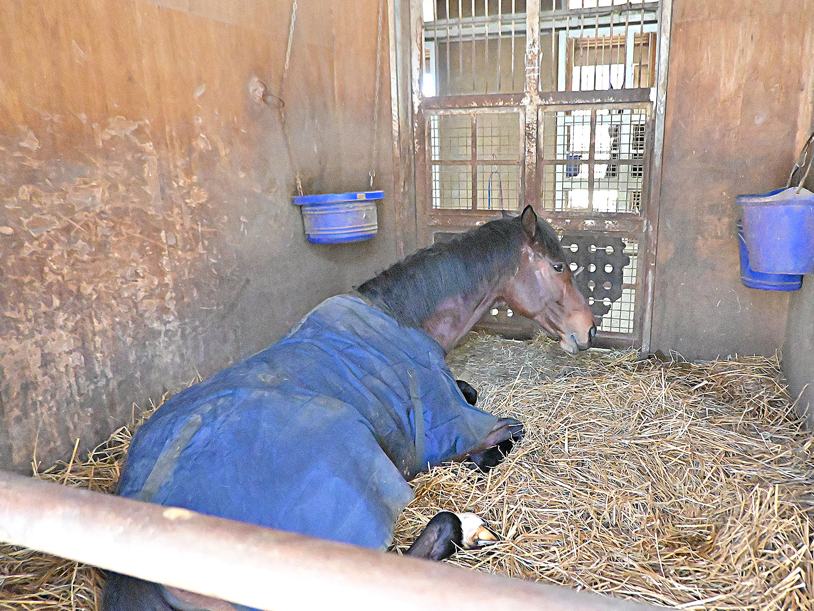グランドルチルのサブ画像
