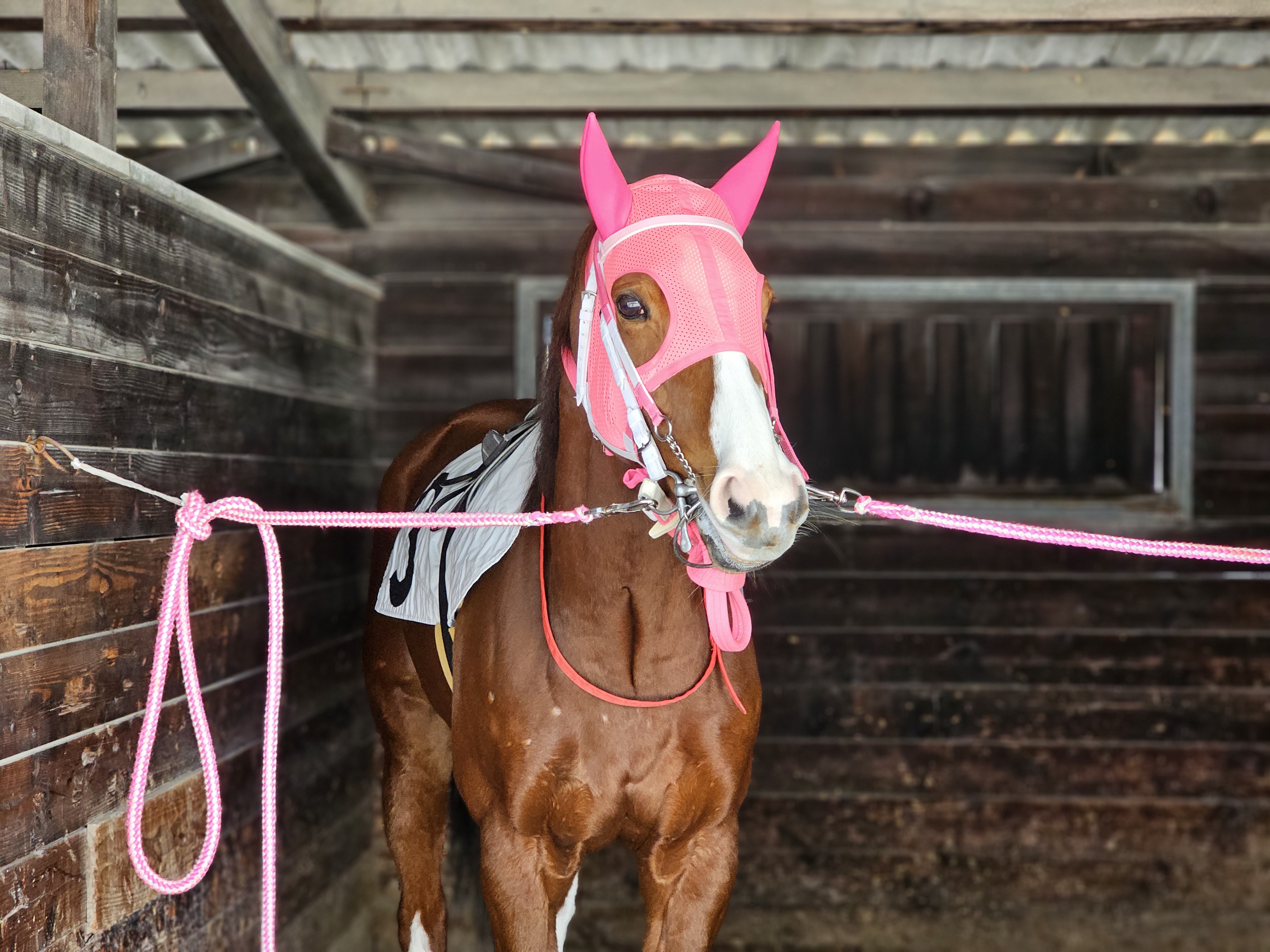 コイビトミサキのサブ画像